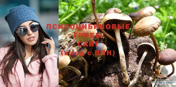 кристаллы Ельня