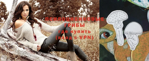 кристаллы Ельня