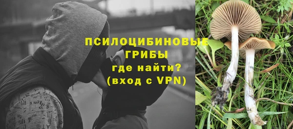 дурь Елизово