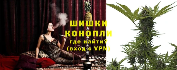 амф Елабуга