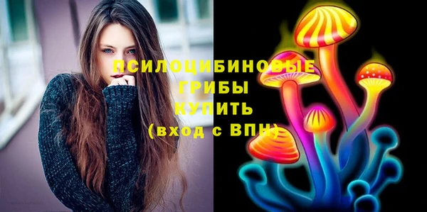 кристаллы Ельня