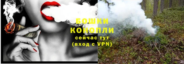 амф Елабуга