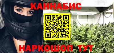дмт Гай