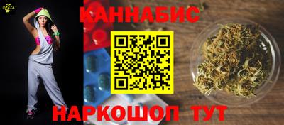 дмт Гай