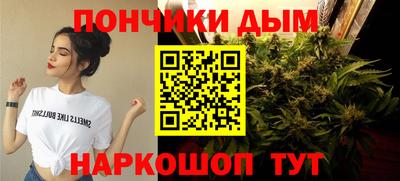 дмт Гай