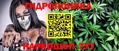 дмт Гай