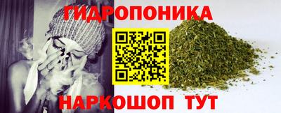дмт Гай