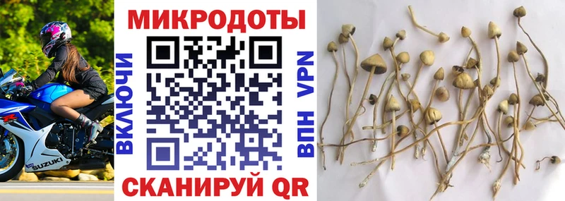 Псилоцибиновые грибы ЛСД Заводоуковск