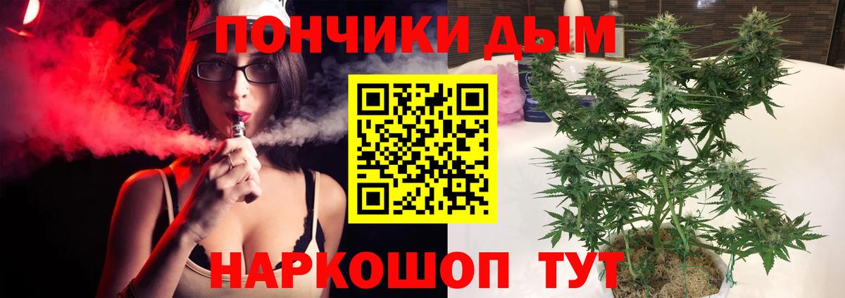 Канабис Bruce Banner Заводоуковск